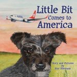 Little Bit Comes to America
