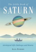 Little Book of Saturn