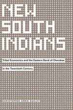 New South Indians