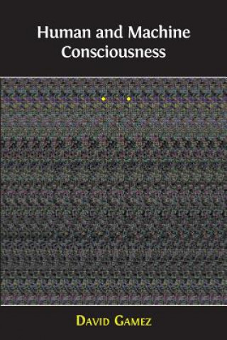 Human and Machine Consciousness