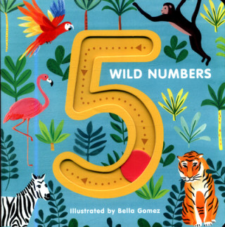 5 Wild Numbers