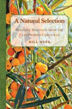 Natural Selection