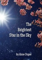 Brightest Star in the Sky
