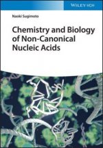 Chemistry and Biology of Non-canonical Nucleic Acids - The Watson-Crick World Is Not Enough