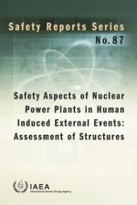 Safety Aspects of Nuclear Power Plants in Human Induced External Events: Assessment of Structures