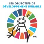 Les Objectifs de Developpement Durable