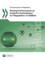 Driving performance at Ireland's Commission for Regulation of Utilities