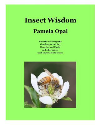 Insect Wisdom