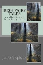 Irish fairy tales: a collection of irish fairy tales
