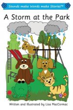 A Storm at the Park: Sounds make Words make Stories, Entry Level, Series 1, Book 12