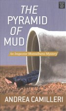 The Pyramid of Mud