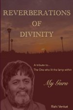 Reverberations of Divinity