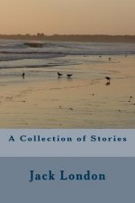 A Collection of Stories