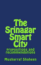 The Srinagar Smart City: propositions and recommendations