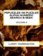 PSPUZZLES 100 PUZZLES ALPHA NUMERIC SEARCH & SEEK Volume 4