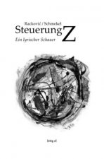 Steuerung Z