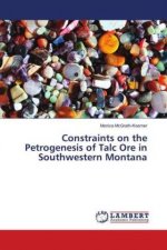 Constraints on the Petrogenesis of Talc Ore in Southwestern Montana