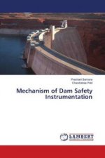 Mechanism of Dam Safety Instrumentation
