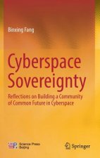 Cyberspace  Sovereignty