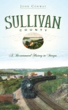 Sullivan County: A Bicentennial History in Images