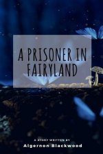 A Prisoner in Fairyland