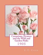 Carnations, Picotees and the Wild and Garden Pinks: 1905