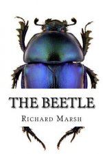 The Beetle
