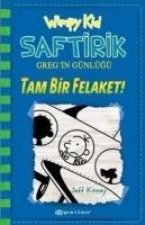 Tam Bir Felaket
