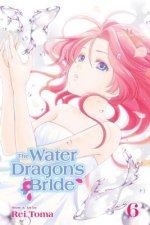 Water Dragon's Bride, Vol. 6