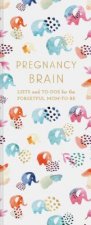 Pregnancy Brain Lists and To-Dos