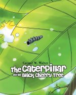 Caterpillar and the Black Cherry Tree