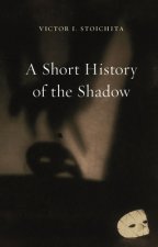 Short History of the Shadow
