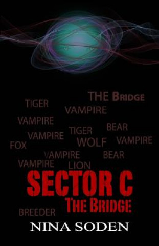 SECTOR C The Bridge