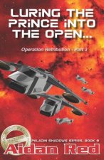 Paladin Shadows, Book 9: Operation Retribution, Luring th ePrince into the Open