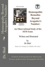 Homeopathy Beyond Avogadro's Number: An Observational Study of the SEM Scans of High Potency Homeopathic Particles