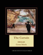 Curtain