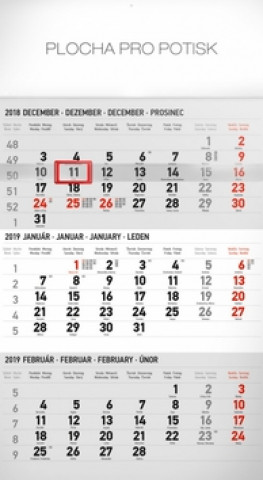 3 mesačný štandard šedý - nástenný kalendár 2019