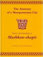 Anatomy of a Mesopotamian City