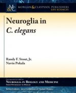 Neuroglia in C. Elegans