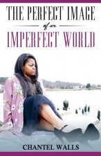 The Perfect Image of an Imperfect World