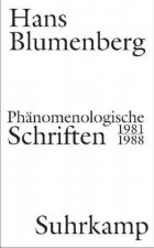 Phänomenologische Schriften