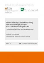 Formulierung und Bewertung von szenariogestützten Geschäftsmodelloptionen. Energiewirtschaftliche illustrative Fallstudie