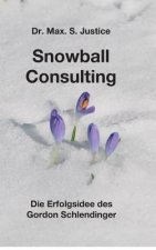 Snowball Consulting