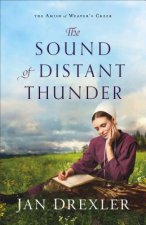 Sound of Distant Thunder