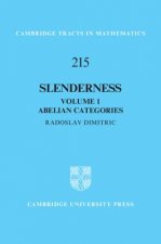 Slenderness: Volume 1, Abelian Categories