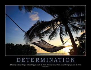 Determination Poster