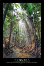 Promise Poster