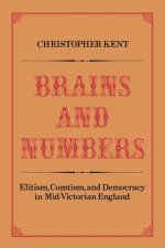 Brains and Numbers