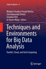 Techniques and Environments for Big Data Analysis