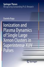 Ionization and Plasma Dynamics of Single Large Xenon Clusters in Superintense XUV Pulses